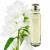 Aceite esenciale jasmin 20ml