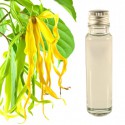 Aceite esenciale ylang ylang