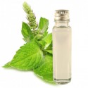 Aceite esenciale menta 25ml