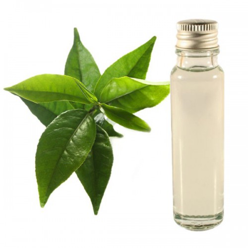 Aceite esenciale te verde 25ml